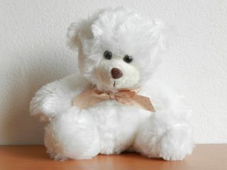 Obrázek z Medvěd bílý plyš 18cm  